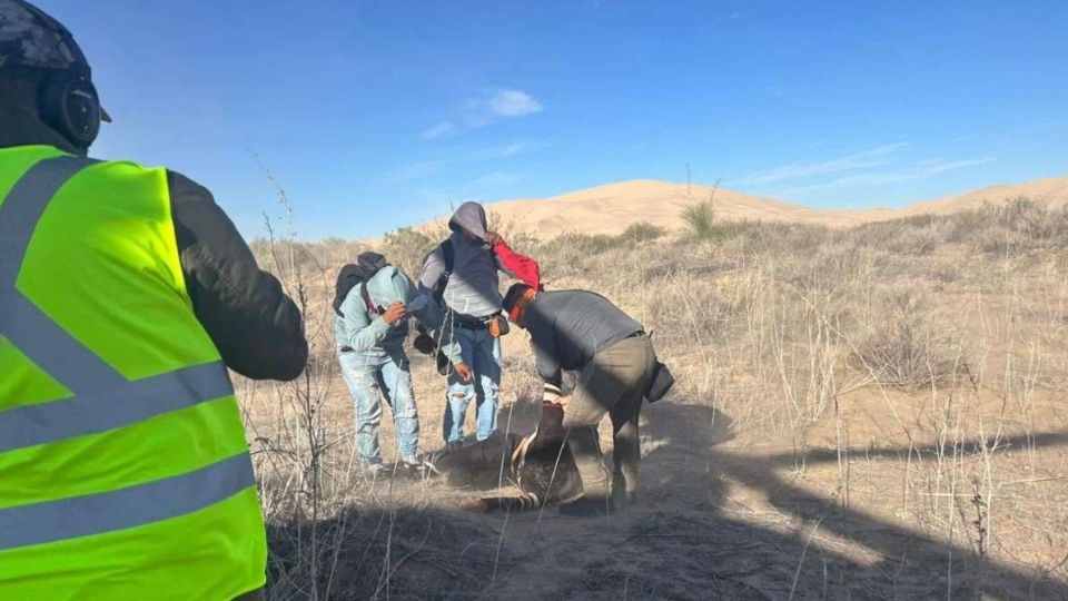 En el operativo participó personal de la SSPE, Rescate Municipal de Juárez, entre otros.