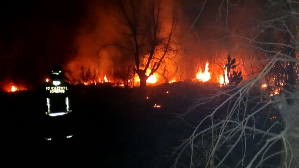 El incendio fue controlado por bomberos estatales.