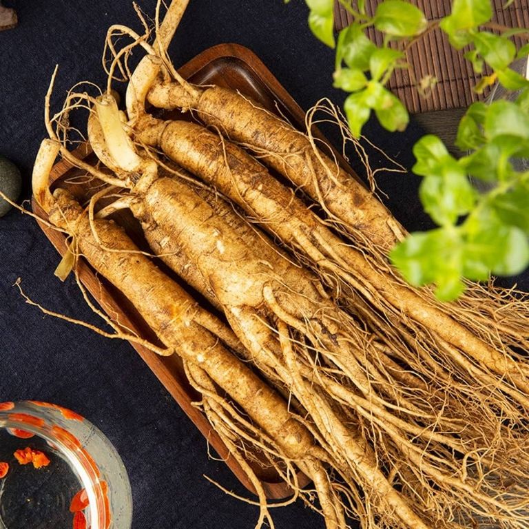 Ginseng