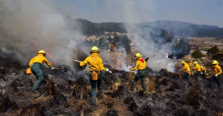 Bomberos 