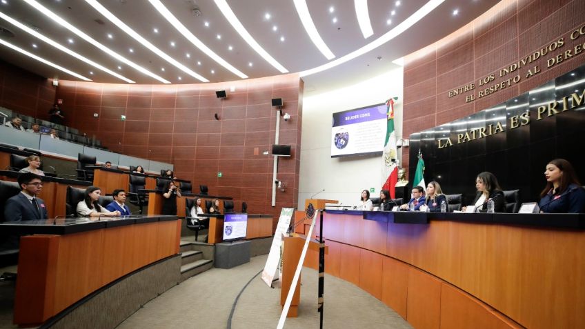 Otorga Senado facultades al presidente para ofrecer amnistía directa