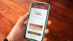 Llave Edomex: paso a paso para usar la app que te ayuda hacer trámites y pagar servicios