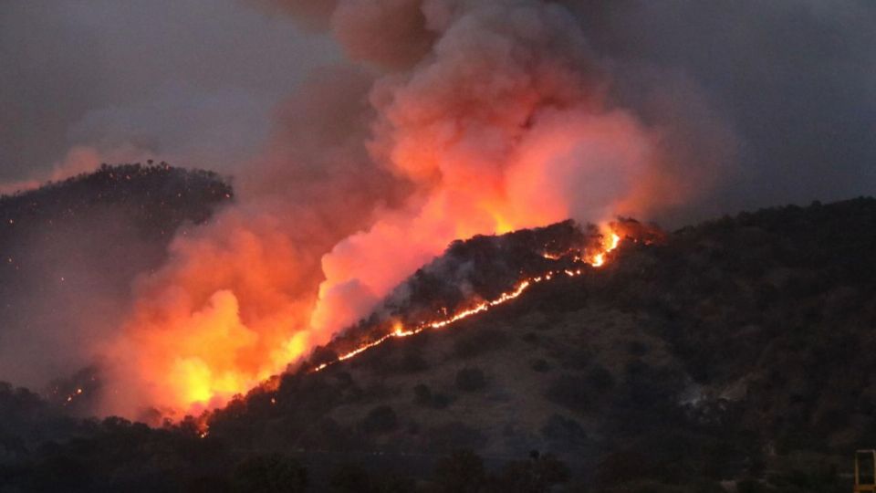 Las condiciones climatológicas han favorecido la aparición de importantes incendios forestales.