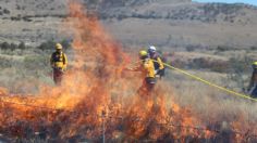 MAPA: así se ven los 69 incendios forestales activos en México hoy martes 2 de abril