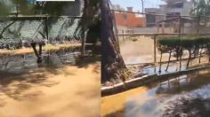 Reportan inundación de aguas negras al interior del Zoológico de Morelia