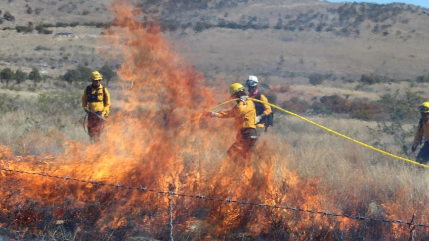 MAPA: así se ven los 69 incendios forestales activos en México hoy martes 2 de abril