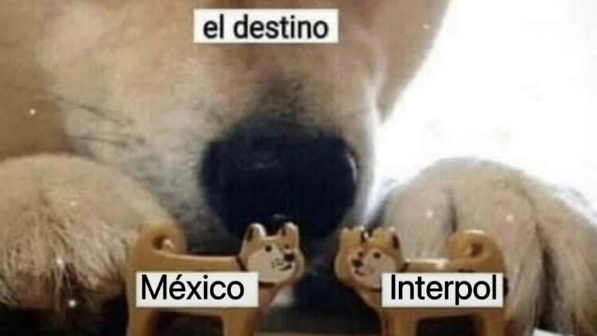 Estos son los mejores MEMES del próximo show de Interpol en la CDMX