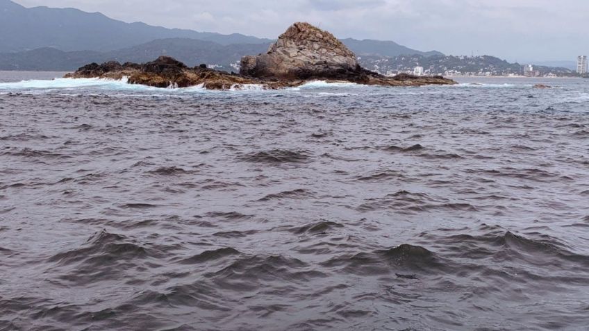 Marea roja en Manzanillo no es tóxica para humanos, informa la Coespris