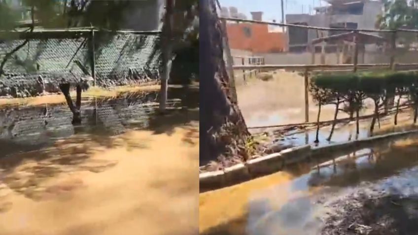 Reportan inundación de aguas negras al interior del Zoológico de Morelia