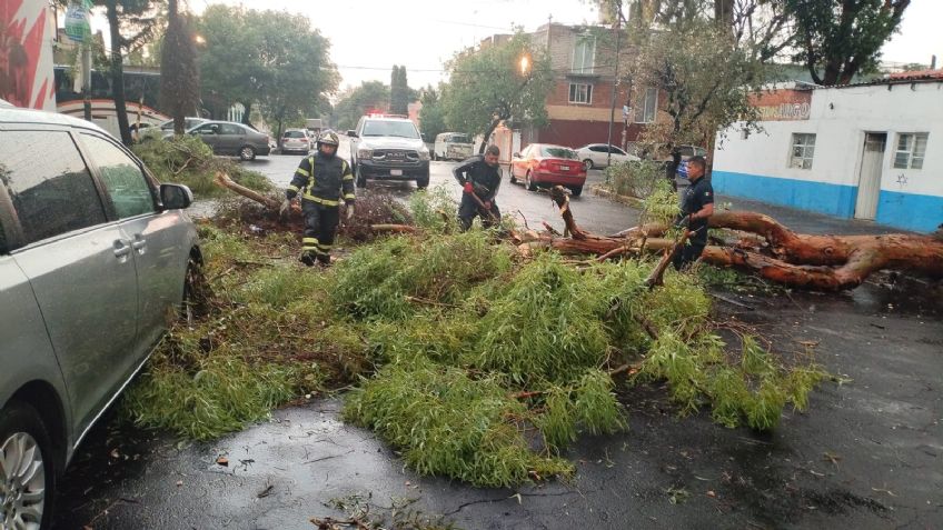 Lluvias provocan encharcamientos, inundaciones y arboles caídos en CDMX: afectaciones viales EN VIVO