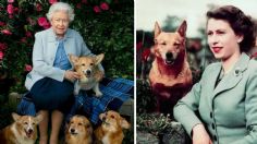 La reina Isabel II resurge a lado de sus corgis con una estatua conmemorativa en el que hubiera sido su cumpleaños 98