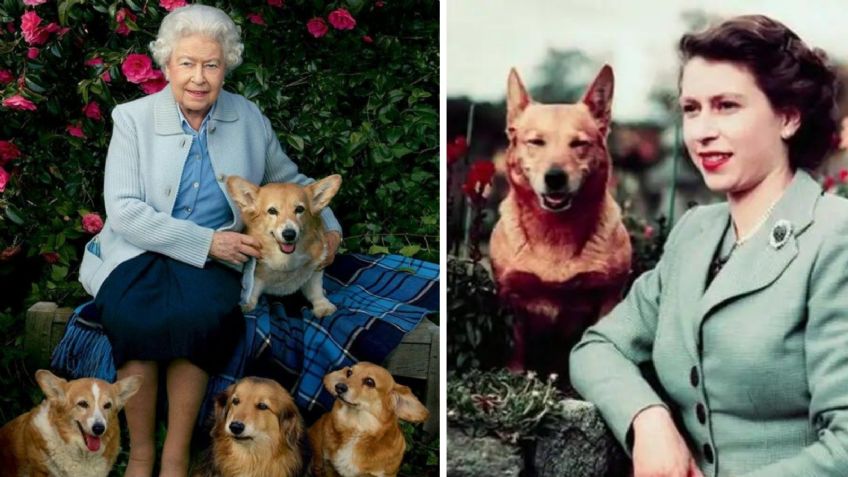 La reina Isabel II resurge a lado de sus corgis con una estatua conmemorativa en el que hubiera sido su cumpleaños 98