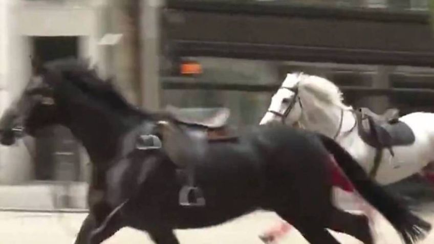 VIDEO: caballos causan pánico en Londres y hieren a cinco personas