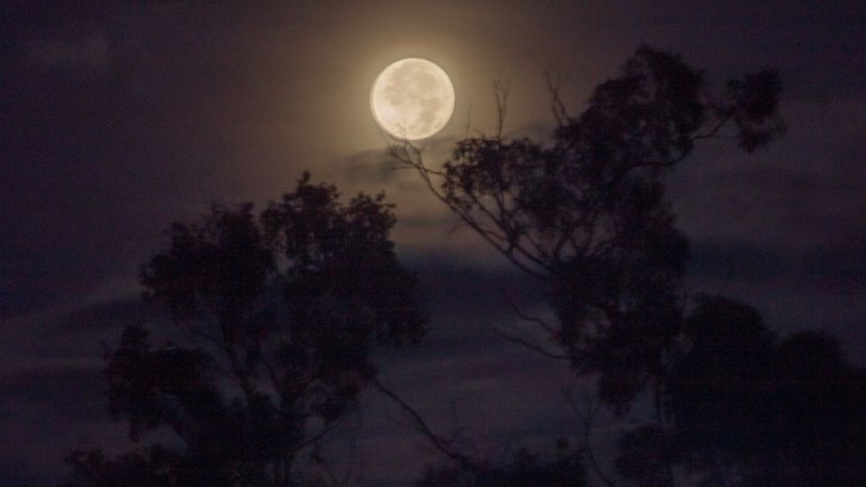 Luna Rosa vista desde Bogotá