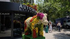 ¡Llegan las Flores a Polanco! Conoce todos los detalles sobre el festival