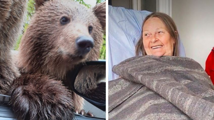 Una mujer quería una selfie con un oso, pero casi pierde la mano: “pensé que quería ser mi amigo”