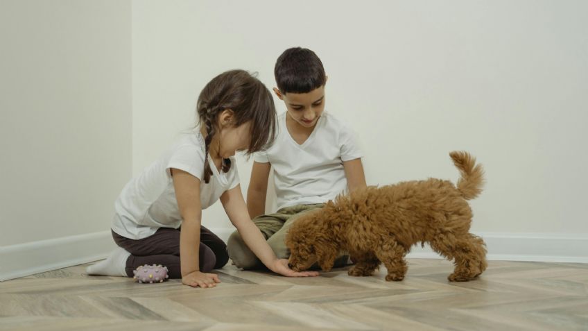 El libro que le ayudará a tus hijos a entender la muerte de su perro con mucho amor y enseñanzas para toda la vida