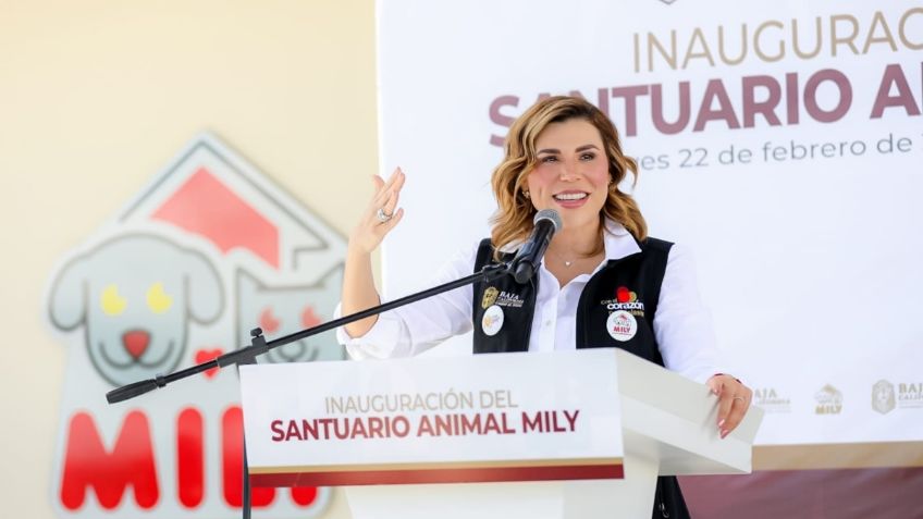 Marina del Pilar informa avances en la operación del Santuario Animal Mily