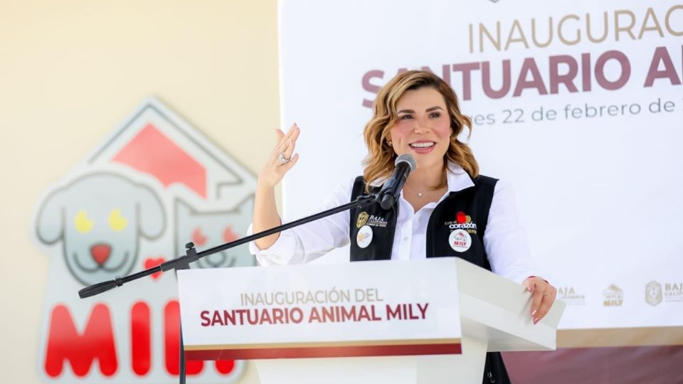 El objetivo de Mily es dar estancia digna y salubre a animales que han sido víctimas de maltrato