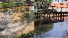 Zoológico denuncia a Organismo de Agua Potable de Morelia por inundación