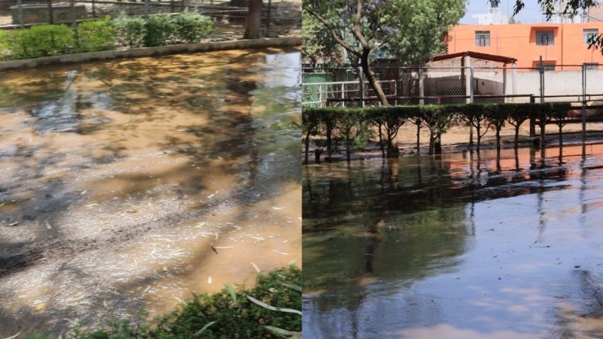 Zoológico denuncia a Organismo de Agua Potable de Morelia por inundación