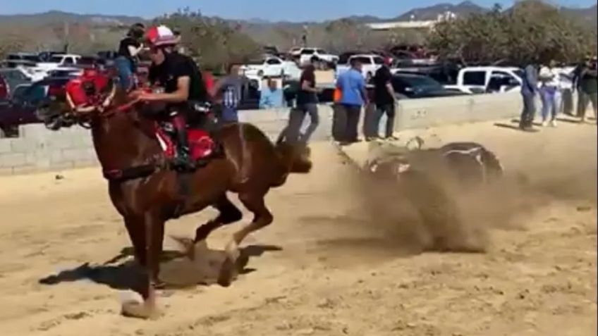 VIDEO: caballos desbocados aplastan y matan a 2 personas durante carrera clandestina en Sinaloa