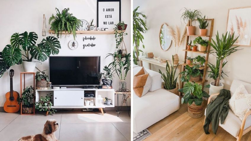 Las principales tendencias en diseño de interiores para decorar el hogar con plantas que absorben el calor