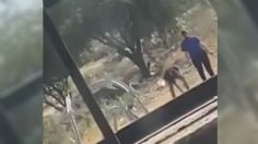 VIDEO: muere perrito al proteger a mujer con su bebé brazos que era agredida por un hombre	