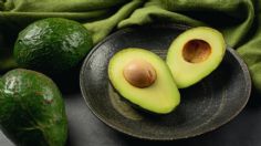 Usa el hueso de aguacate como fertilizante natural para para revivir tus plantas