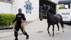 Detienen a 2 hombres acusados de maltratar a 4 caballos en Ecatepec