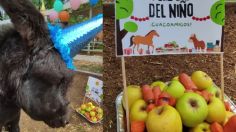 En Cuacolandia también celebran el Día del Niño y así fue la fiesta para los más pequeños del santuario