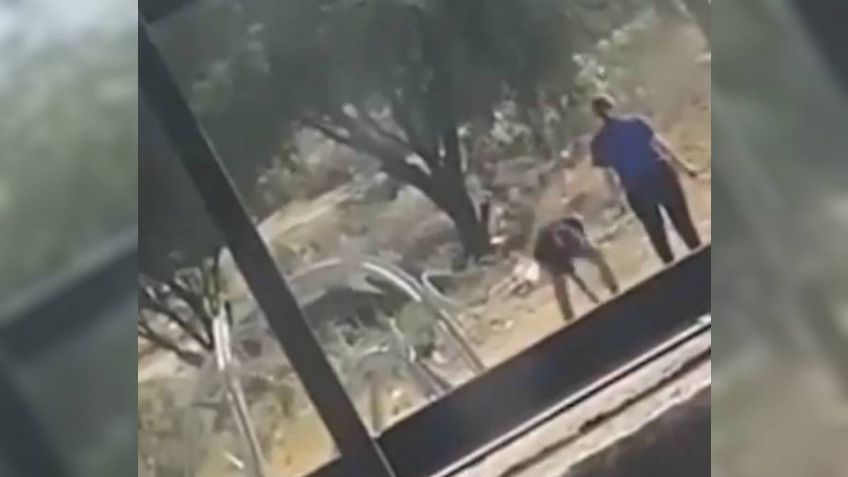 VIDEO: muere perrito al proteger a mujer con su bebé brazos que era agredida por un hombre	