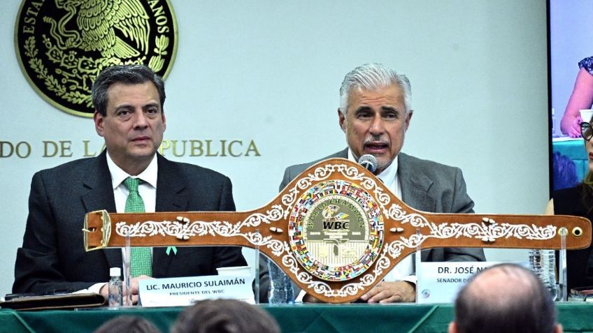 Consejo Mundial de Boxeo declara a mayo como el mes de la salud mental