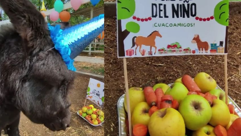 En Cuacolandia también celebran el Día del Niño y así fue la fiesta para los más pequeños del santuario