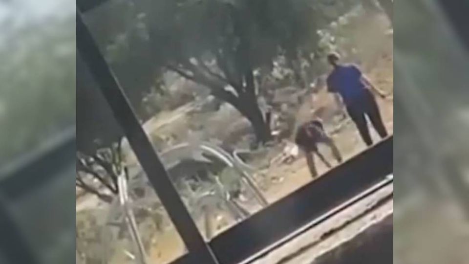 El ataque del perro quedó documentado en video.