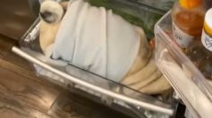 VIDEO:Captan el momento en que un tierno pug roba un refrigerador