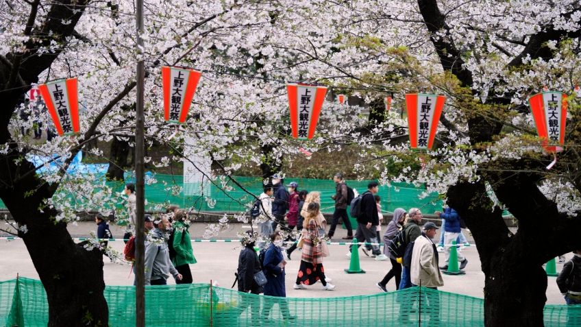 Cabalga crisis de natalidad en Japón