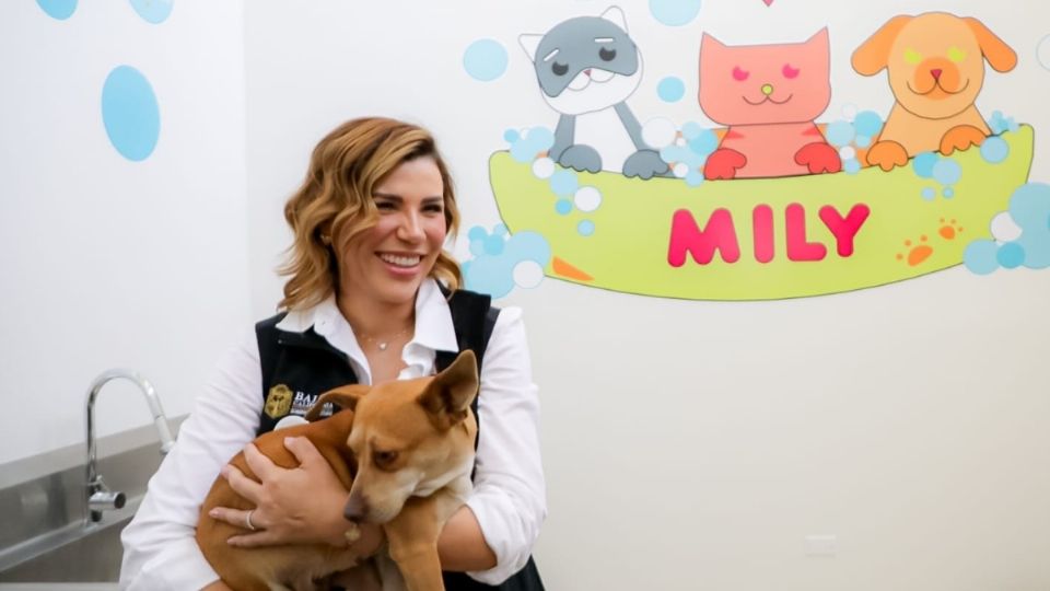 La prioridad para Mily es la recepción de animales que hayan sido víctimas de maltrato o crueldad