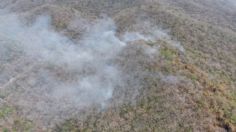 Incendio afecta 6 hectáreas en el Parque Nacional Cañón del Sumidero en Chiapas