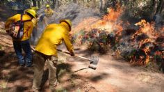 Busca Legislatura de Edomex imponer hasta 30 años de cárcel a quien provoque intencionalmente incendios forestales