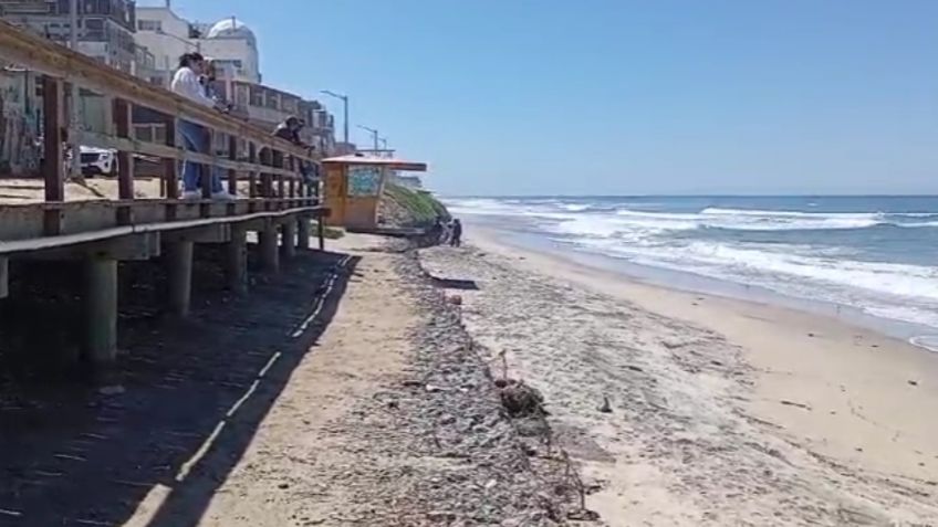 Hallan muerto al presunto sujeto que aventó a un hombre al acantilado en Tijuana