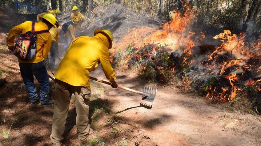 Busca Legislatura de Edomex imponer hasta 30 años de cárcel a quien provoque intencionalmente incendios forestales