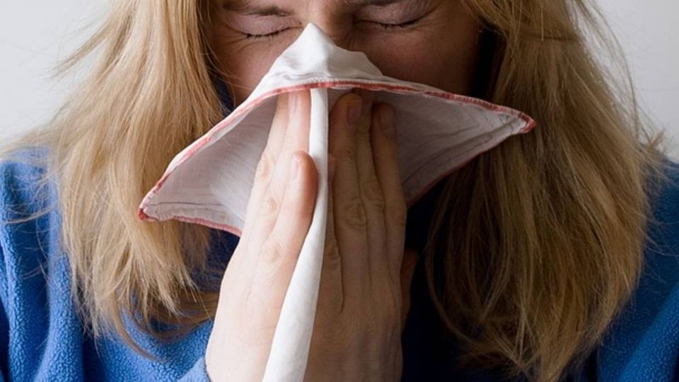 La influenza aviar afectaría a los humanos.