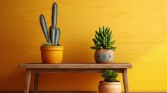 El significado de que crezca un cactus en tu hogar que pocos conocen