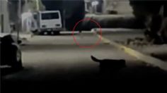 Captan en VIDEO a pequeños seres de un metro en México, ¿son duendes o extraterrestres?