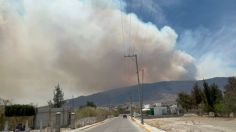 VIDEO: Incendio forestal pone en riesgo patrimonio cultural y natural de Oaxaca