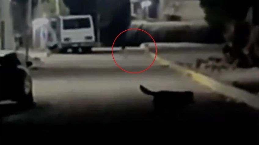 Captan en VIDEO a pequeños seres de un metro en México, ¿son duendes o extraterrestres?