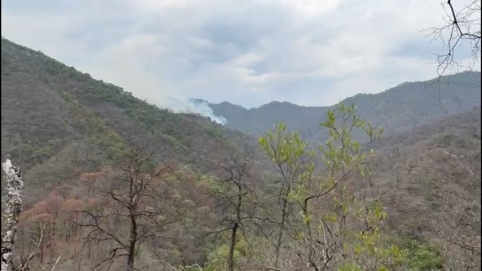 Continúa incendio en Tamaulipas