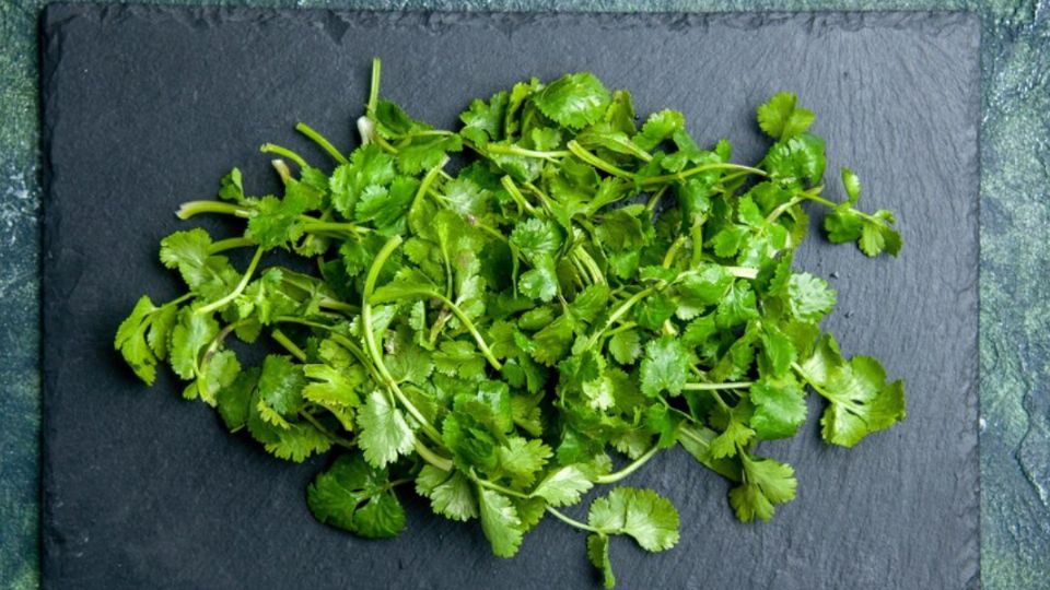 Así puedes reproducir el cilantro sin semilla para que jamás falte en la cocina de tu casa