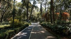 ¡Para relajarte! En estos tres parques de la CDMX puedes escuchar música en la naturaleza